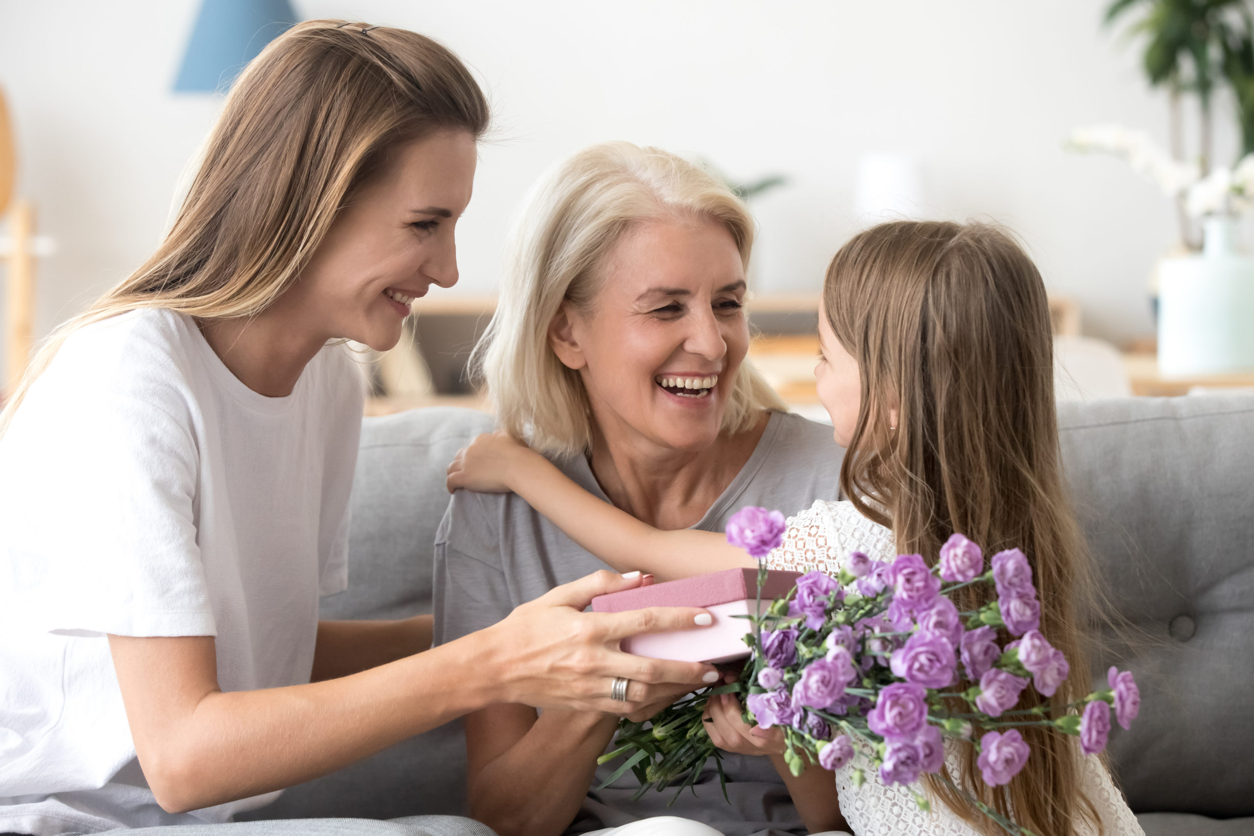 shutterstock_1231591591